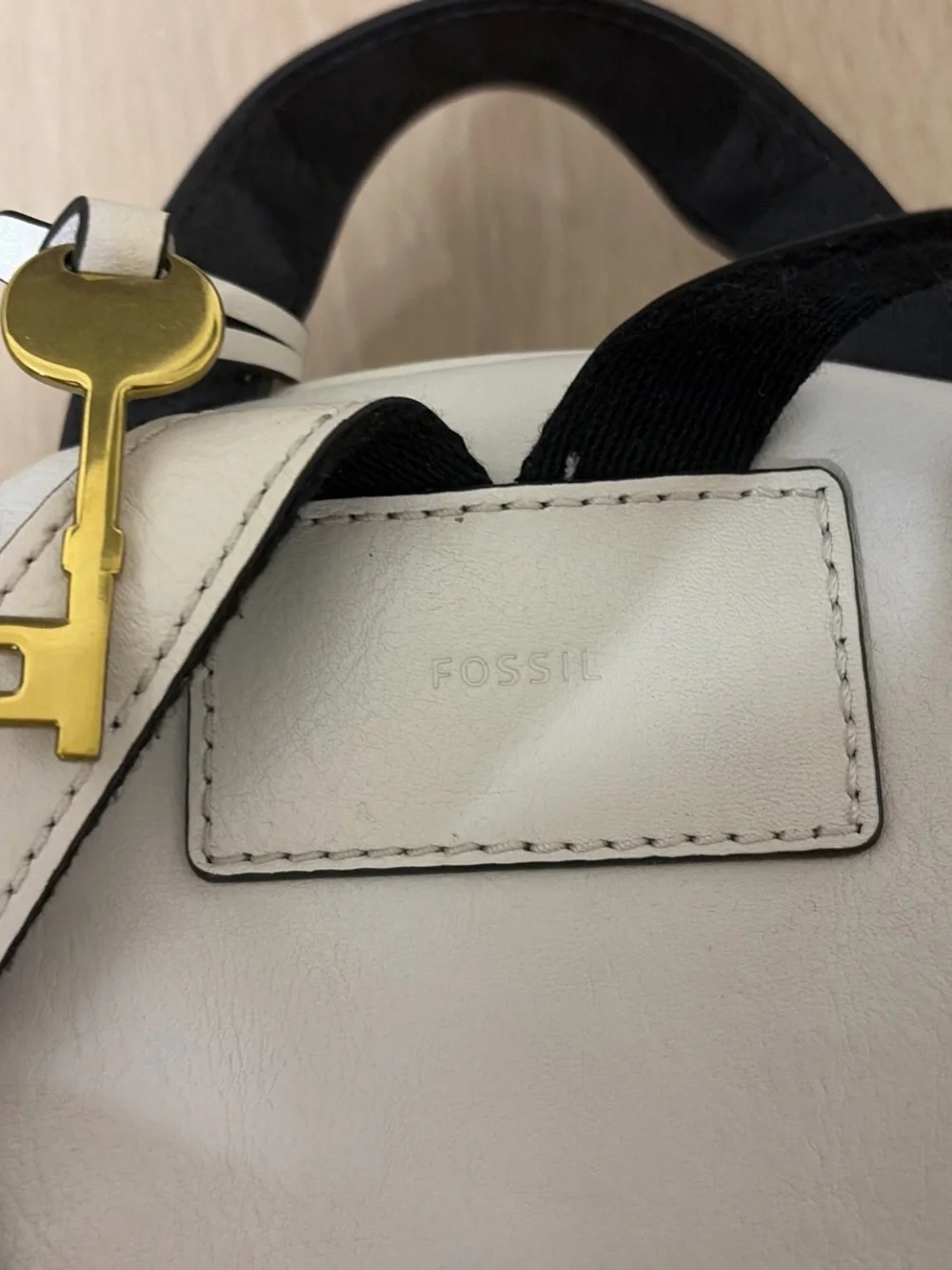 Fossil White Mini Backpack with Multicolor Floral Appliqués